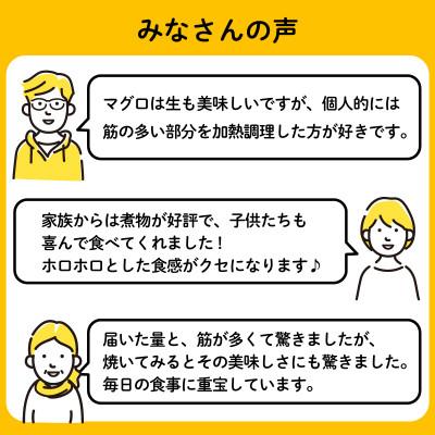 ふるさと納税 須崎市 【訳あり】メバチマグロハランボ　900g |  | 03