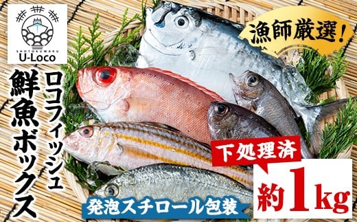 
            P78002 漁師厳選！ロコフィッシュ(地魚) 下処理済 鮮魚 ボックス(約1kg)【発泡スチロール包装】 地魚 魚 お魚 冷蔵 生もの 加工品 未利用魚 低利用魚 焼き魚 焼魚 刺し身 刺身 煮魚 届くまでのお楽しみ 鮮魚セット 鮮魚ボックス 鮮魚BOX 【昌徳丸】
          