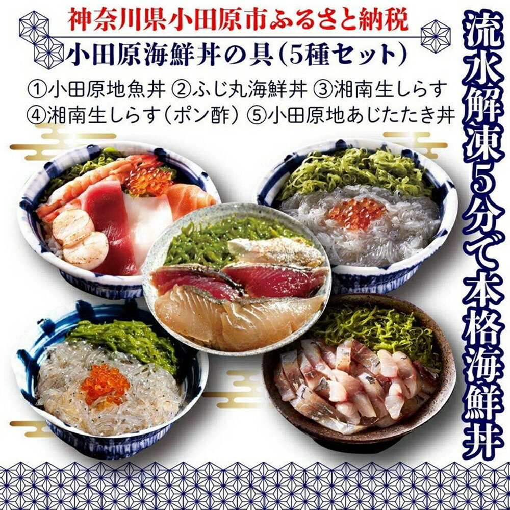 【ふるさと納税】小田原地魚海鮮丼の具（5種セット） | 惣菜 海鮮 神奈川県 小田原市