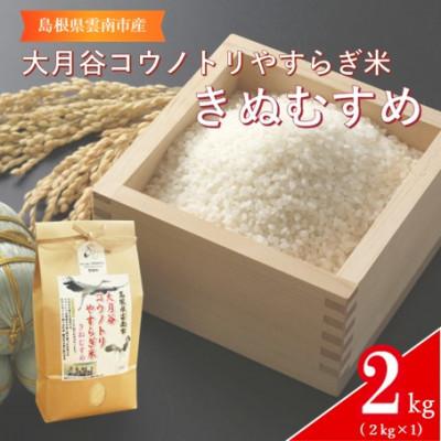 ふるさと納税 雲南市 島根県雲南市「大月谷コウノトリやすらぎ米」きぬむすめ　2kg(2kg×1)