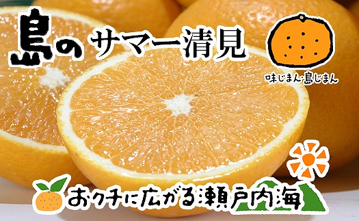 サマー清見 4kg 【2026年4月上旬から発送予定】  愛媛 中島産 愛媛県産 みかん 柑橘 希望の島