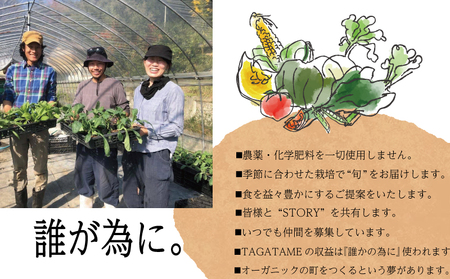 野菜 特別栽培 野菜 セット 栽培期間中 農薬不使用 野菜 7～10種類 の 栽培期間中 農薬不使用 野菜 TAGATAME タガタメ 香川 栽培期間中 農薬不使用 野菜 詰め合わせ セット さぬき市