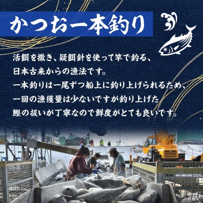 【訳あり】枕崎からの贈り物 かつおの腹皮【合計3Kg(12〜16パック)】 A3−47【配送不可地域：離島】【1166527】