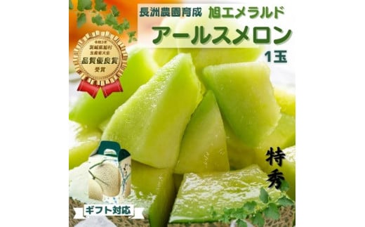 【贈答用／特秀】アールスメロン 1玉（1.5kg） アールスメロン 茨城旭エメラルド メロン めろん おすすめ 人気 国産 青肉 産地直送 茨城 鉾田 フルーツ 旬 大きい プレゼント 贈り物 旬 定番 果物 くだもの 甘い 贅沢 上品 高級