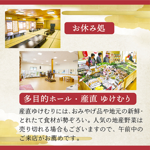 「おくのほそ道」赤倉ゆけむり館　入浴回数券　【小学生11回券】
