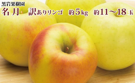 
[No.5657-2672]名月 訳ありりんご 約5kg（約11～18玉）《黒岩果樹園》■2024年発送■※11月上旬頃～12月下旬頃まで順次発送予定
