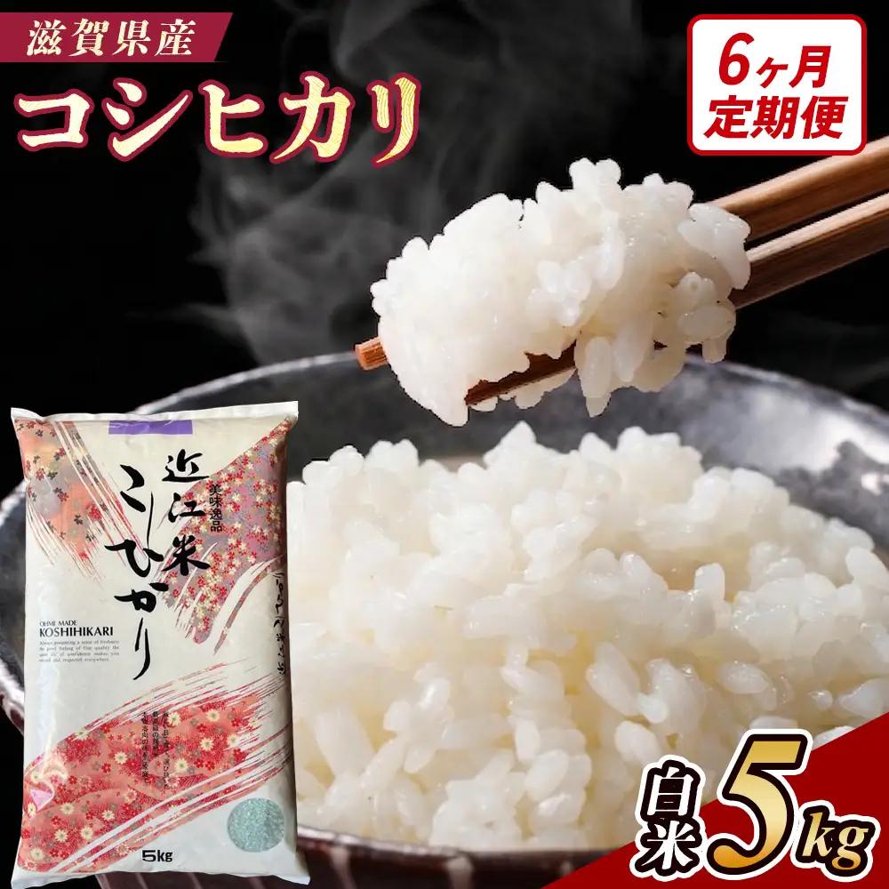 【6ヶ月定期便】【令和7年産】近江米コシヒカリ白米5kg