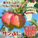 【ふるさと納税】◆2024年12月中発送◆りんご サンふじ家庭用 10kg(24～42玉)_ 林檎 リンゴ 訳あり 訳アリ わけあり 長野県 信州 くだもの 果物 フルーツ 人気 サンフジ 特産品 産地直送 キズ 中野市 常温 家庭用 規格外 新鮮 蜜入り 果樹園 【1494948】