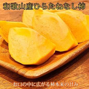 【2・4・6・8・10・12月 偶数月発送 全6回】和歌山産 旬のフルーツ お楽しみ 定期便 【魚鶴商店】