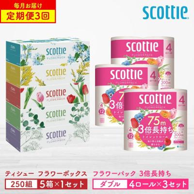 ふるさと納税 八代市 【毎月定期便】【スコッティ】ティシュー 5箱P×1+トイレット 4ロール(ダブル)P×3全3回