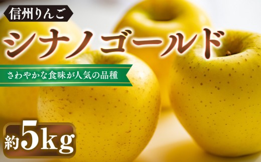 
                  シナノゴールド約5kg（12個～18個）
                