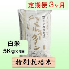 【毎月定期便】3ヶ月【令和6年産】特別栽培米5kg【白米】(ミルキークイーン)全3回