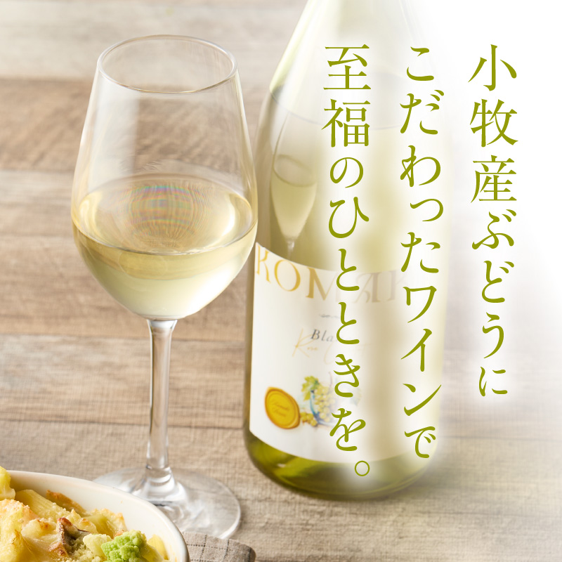 小牧ワイナリー 赤・白ワイン２本セット【限定50セット】（小牧産ぶどう100％使用）