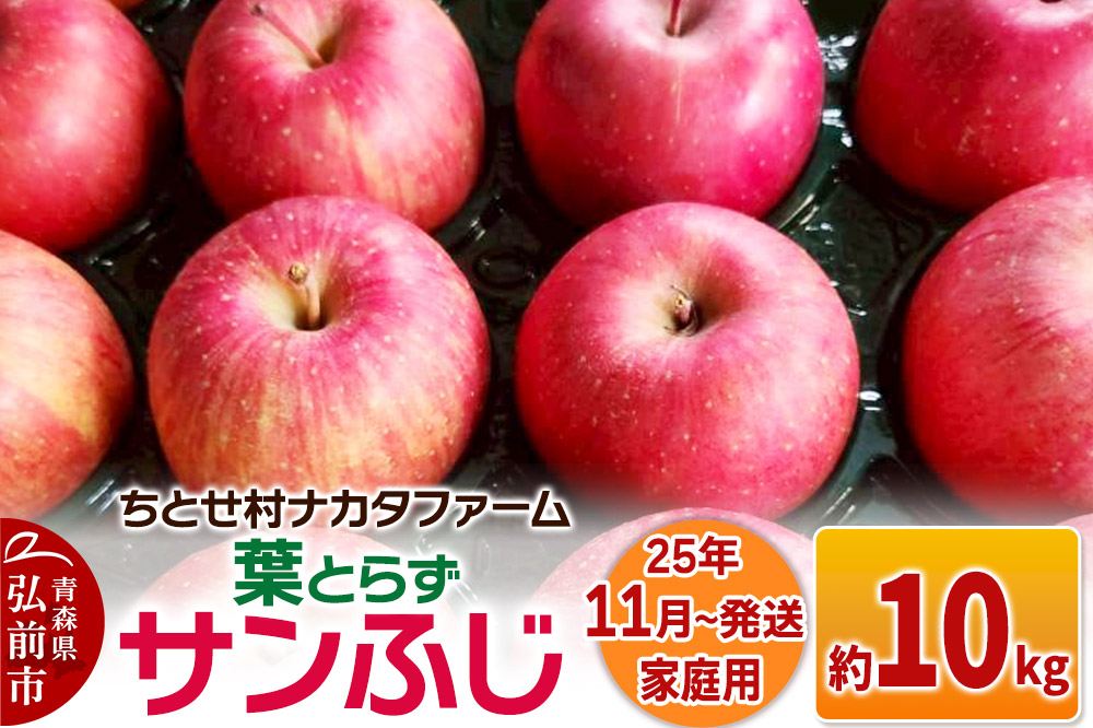【25年11月発送】りんご【家庭用】葉取らずサンふじ 約10kg