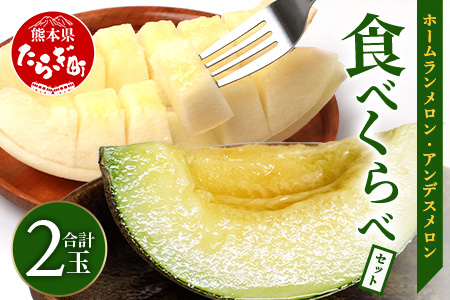 【2026年5月上旬から順次発送】【先行予約】熊本県産 ホームランメロン アンデスメロン 食べ比べ 計2玉 約2.5kg以上 メロン フルーツ 果物 083-0625
