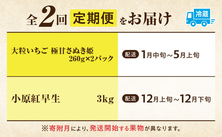季節の恵み2回定期便S | 果物 フルーツ 青果 青果物 デザート スイーツ 果実 旬 季節 旬の果物 季節の果物 生鮮食品 生鮮 贈答 贈り物 ギフト プレゼント おすそ分け お祝い 内祝い ご褒美