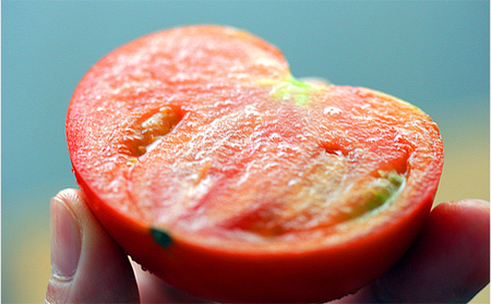 【トマトGP受賞】栽培期間中農薬化学肥料不使用《冷凍》安心トマト2kg 野菜 兵庫県産 