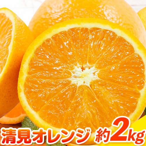 【ふるさと納税】【2026年先行予約】清見オレンジ 2kg ときわオンライン《2026年1月中旬-4月上旬頃出荷》 和歌山県 紀の川市 フルーツ 果物 清見 オレンジ 柑橘 送料無料
