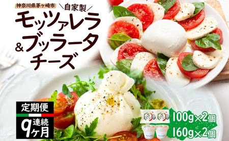 チーズ詰合せ 自家製 モッツァレラ ブッラータ 神奈川県産 チーズ詰合せ【モッツァレラ100g ブッラータ180g 各2個】【定期便9ヶ月】