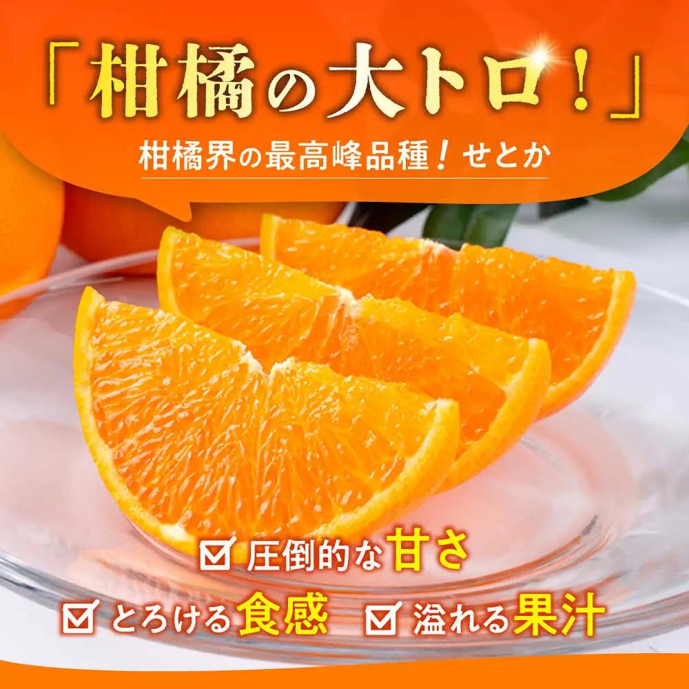 27年2月下発送 せとかみかん約2.5kg化粧箱入り せとか果物ギフトZBN002