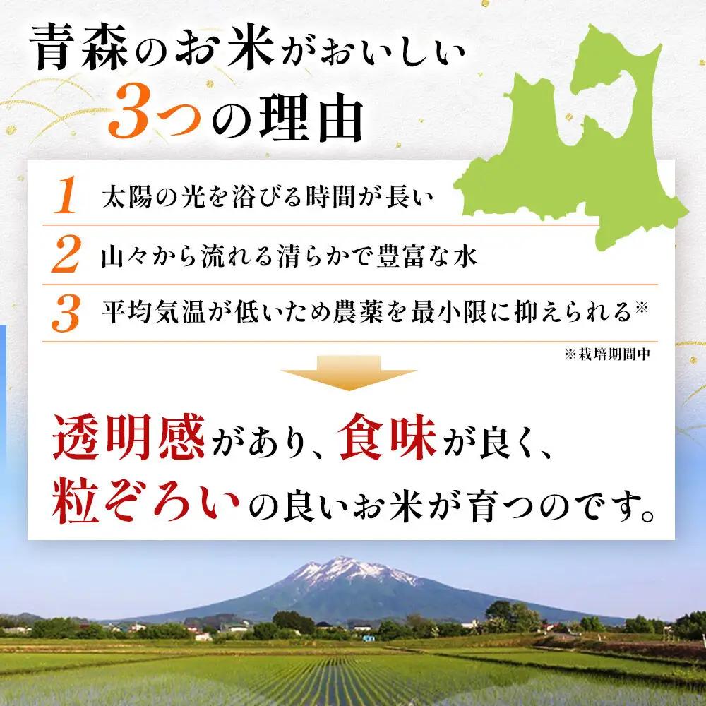 《定期便9ヶ月》【白米】青森県産 まっしぐら 10kg 精米 お米 青森県産 ブランド米