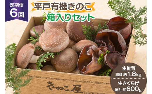 きのこ しいたけ きくらげ 生椎茸 生きくらげ 箱入りセット 6回 定期便 [きのこ屋 長崎県 平戸市 hr42bgy410165] 有機 有機JAS 有機栽培 有機きのこ 有機しいたけ 箱入り ギフト セット