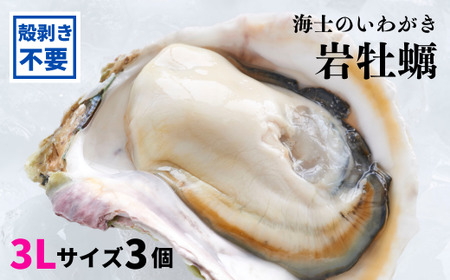 【殻剥き不要】海士のいわがき殻なし巨大3Lサイズ×3個（960g～1.2kg）