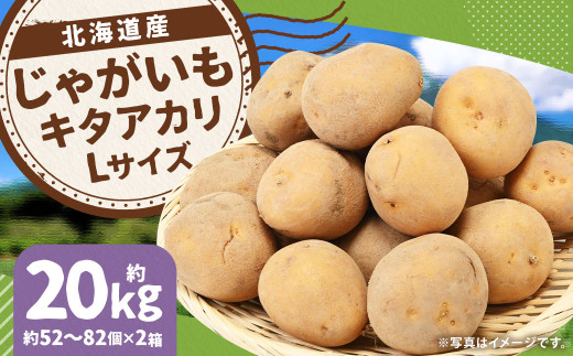 じゃがいも キタアカリ Lサイズ 約10kg×2箱 計約20kg （JA） ジャガイモ 芋 いも イモ 国産 【2026年9月下旬～12月下旬迄発送予定】