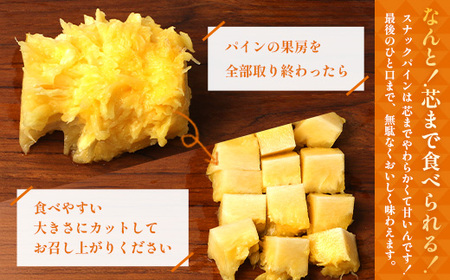【先行受付】パイナップル/ボゴール種 (約800g×2玉) ≪2026年7月下旬以降順次発送≫ DS-004 ｜パイン パイナップル パインアップル フルーツ ボゴールパイン スナックパイン 産地直送