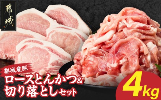 
                  都城産豚ロースとんかつ&切り落としセット4kg_18-25-018-4kg_(都城市) 都城産豚 豚肉 ロース とんかつ 切り落とし セット ポークソテー カツカレー 豚汁 炒め物 おかず
                