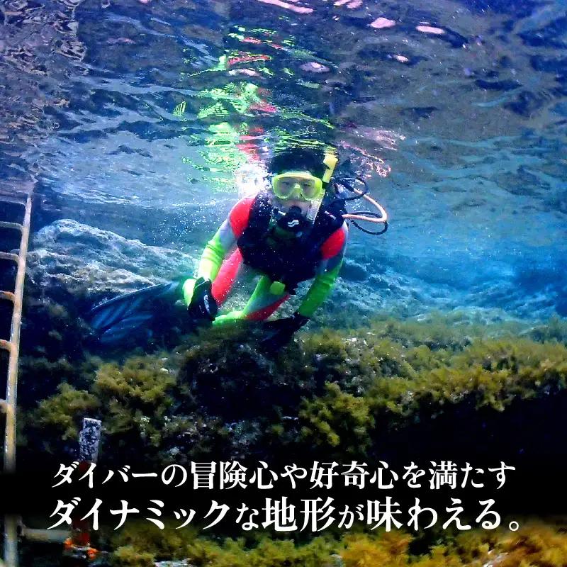 利用券 150,000円分 越前海岸国定公園 『海辺の小さな手作りリゾート ECHIZEN LOG（えちぜんログ）』絶景日本海！越前の海を楽しむ マリンアクティビティ 体験・宿泊・飲食 福井県 越前町