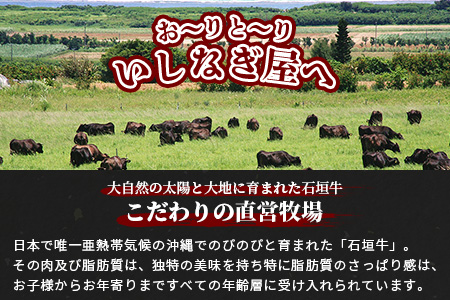 石垣牛ステーキ200g×3枚＋焼肉400gセット（いしなぎ屋） AB-9