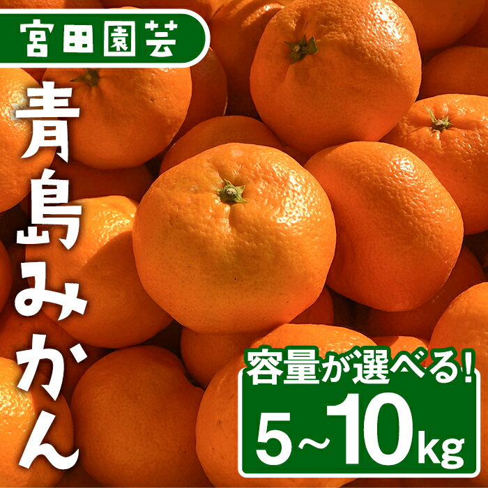 【ふるさと納税】＜2025年12月1日先行受付開始、2026年1月以降発送＞＜内容量が選べる！＞青島みかん(5～10kg・M～3L)みかん 蜜柑 フルーツ 果物 くだもの 柑橘 期間限定【112300301・112300401・112300501】【宮田園芸】
