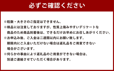 ＜ R8年熊本地震復興支援 ＞【規格外品】 不知火 (デコポンと同品種) ご家庭用 約4kg サイズ不選別 しらぬい 果物 くだもの フルーツ 柑橘 【2027年1月下旬～3月下旬迄発送迄予定】