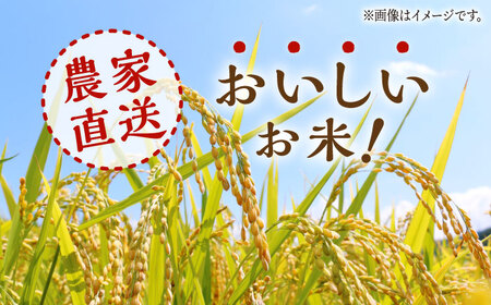 【3回定期便】 【数量限定】ヒノヒカリ 白米 10kg（5kg×2袋）【竹下農園】[ZEL005]