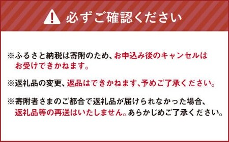 クラフトスパイス Basic 2個セット （40g×2個） 計80g ／ スパイス ハーブ 調味料 料理 調理 北海道 北広島市 常温