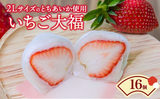 
                  いちご大福（16個入） ｜ 苺大福 苺 いちご イチゴ 大福 期間限定 ご褒美 和菓子 スイーツ デザート 老舗 栃木県 鹿沼市 ※2025年12月上旬～2026年4月下旬頃に順次発送予定 ※離島への配送不可
                