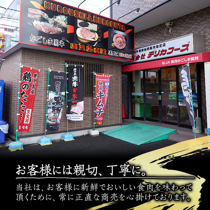 【15577】かごしま黒豚ロースとんかつ用(計1kg・約100g×10枚)国産 豚肉 肉 冷凍 ロース 鹿児島 ステーキ とんかつ【デリカフーズ】