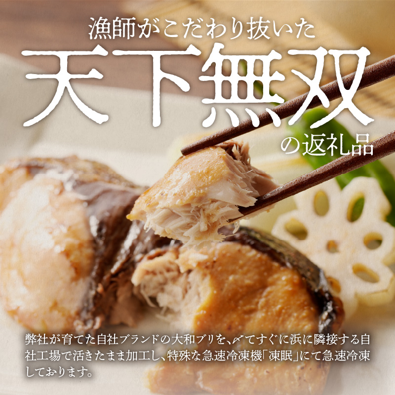 天下無双 大和ブリの照り焼き　N072-YA2257