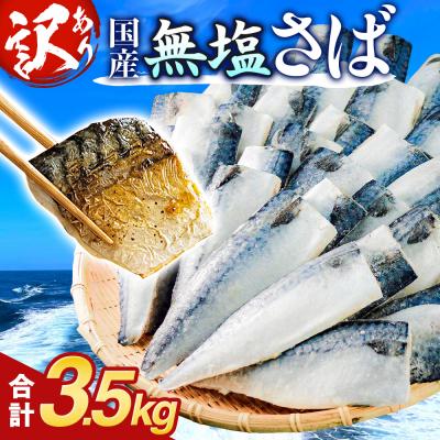 ふるさと納税 石巻市 訳あり 無塩サバフィレ 3.5kg (30枚前後) 冷凍 さば 鯖 不揃い 魚 お魚 焼き魚