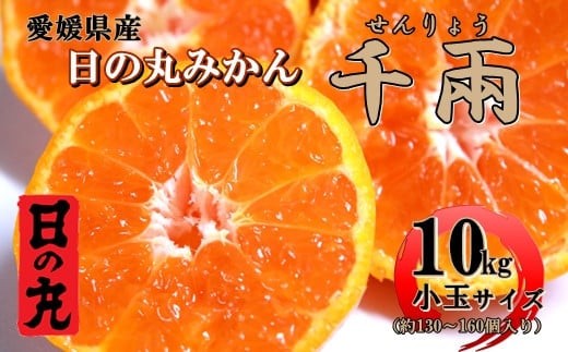 
            日の丸みかん「千兩」10kg　2S(小玉)サイズ/約130～160個＜D79-10＞【1452033】
          