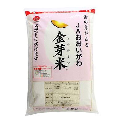 ふるさと納税 藤枝市 静岡県産　JAおおいがわ「金芽米5kg(無洗米)」・「JAおおいがわのお茶80g」セット |  | 01
