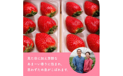 （冷蔵）【４月発送分】イチゴ 奈良県産高級ブランド品種「古都華」デラックス（270g×２パック） ／ 上田農園 苺 いちご フルーツ 奈良県 田原本町
