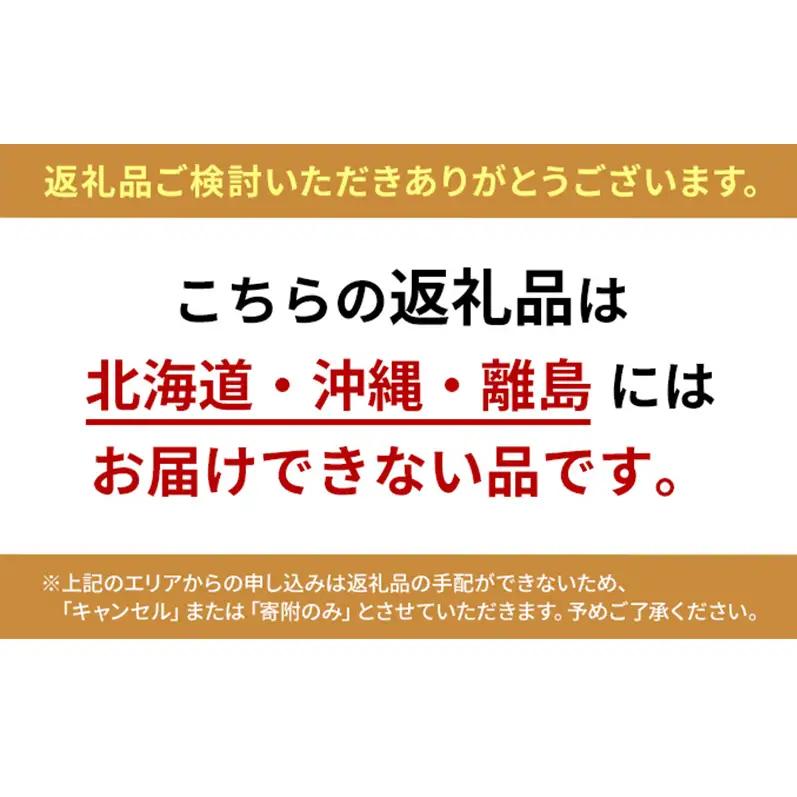 ぶどう 2026年 先行予約 シャインマスカット 晴王 1房 約700g 9月～10月発送  岡山県産 シャインマスカット