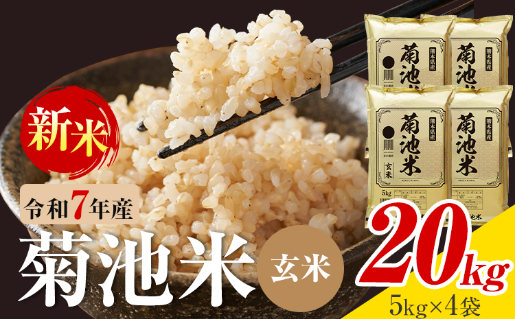 令和7年産 熊本県産 菊池米 玄米 20kg 1袋5kg 株式会社くまもとごはん 《30日以内に出荷予定(土日祝除く)》米 お米 令和7年産 九州産 熊本県産  送料無料---026-5047---
