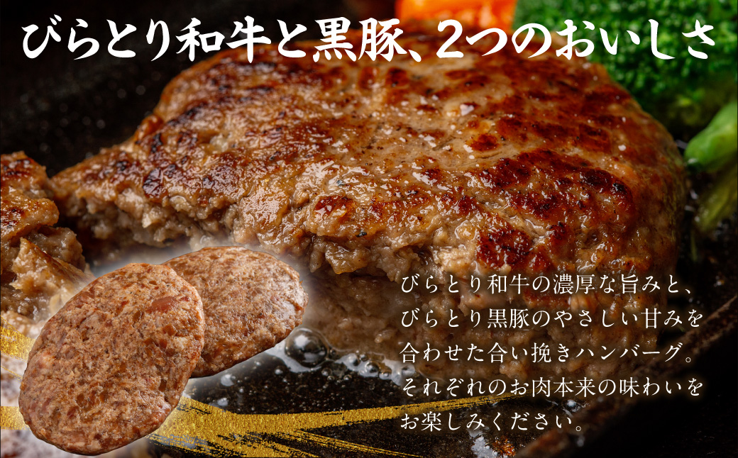びらとり和牛・黒豚合い挽きハンバーグ 180g×10枚 BRTC010