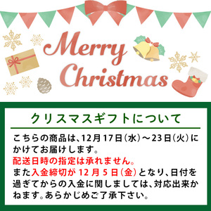 i658-Xm 【クリスマスギフト】鹿児島県 出水市産 黒毛和牛 A4~5等級 サーロインステーキ(約200g) 牛肉 黒毛和牛 国産 鹿児島県産 ブランド牛肉 サーロイン ステーキ ロース 最高ラン