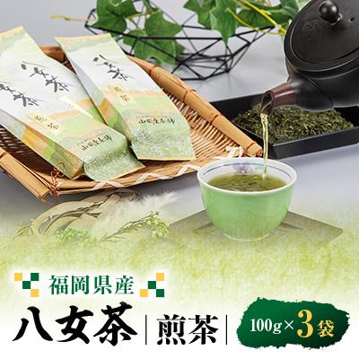 ふるさと納税 大牟田市 八女茶(福岡県産)煎茶 100g×3