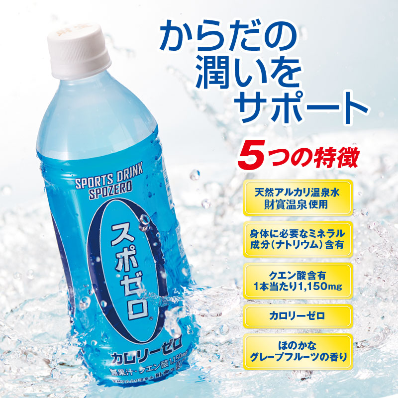 B2-22126／【3回定期】 財寶温泉 スポーツドリンク ペットボトル 500ml×24本
