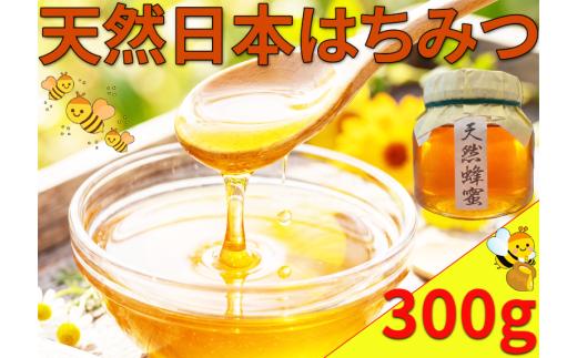 はちみつ 国産 日本はちみつ 300g 日本みつばち 和 蜂蜜 蜜蜂 みつばち 天然はちみつ ハニー 美容 健康 栄養豊富 コーヒー 紅茶 レモン ミルク ジンジャー スイーツ ヨーグルト パンケーキ トースト 保存食 菓子 産地直送 徳島県 三好市 みよし